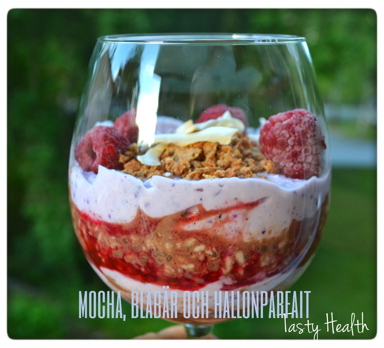 turkisk yoghurt nyttigt